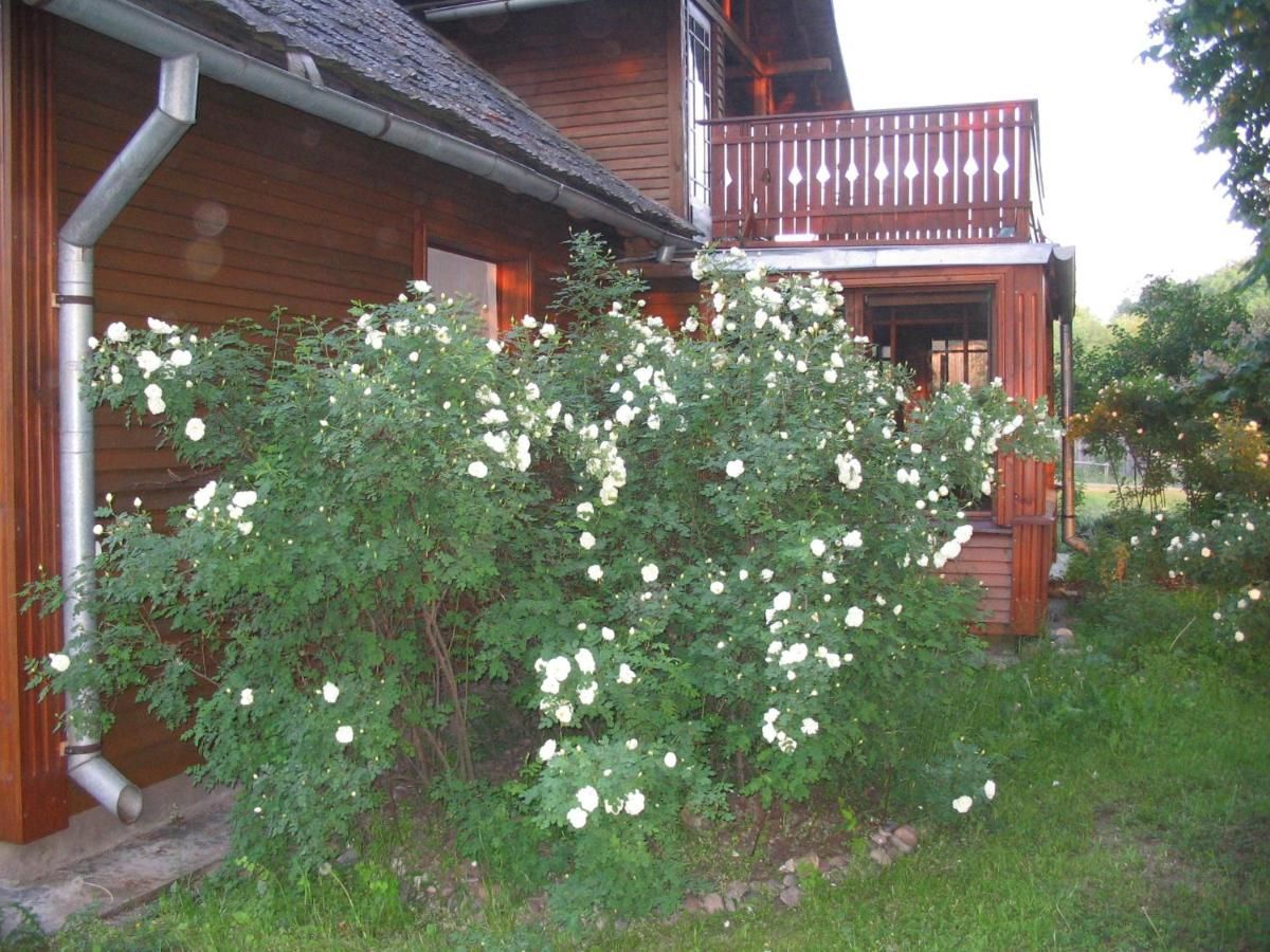 Загородные дома Guest House Vidlauči Скулте-40